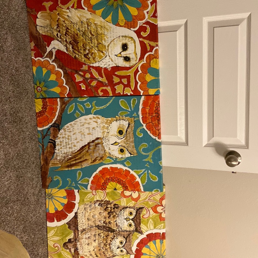 Set of 3 pier 1 owl canvas